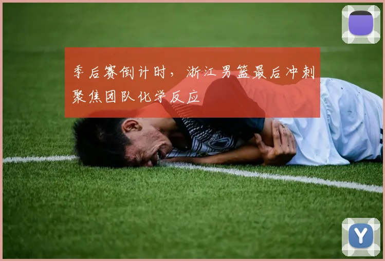 季后赛倒计时，浙江男篮最后冲刺聚焦团队化学反应