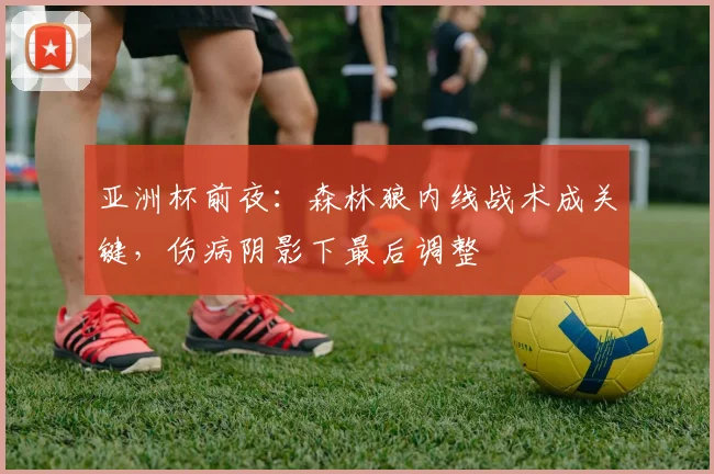 亚洲杯前夜：森林狼内线战术成关键，伤病阴影下最后调整