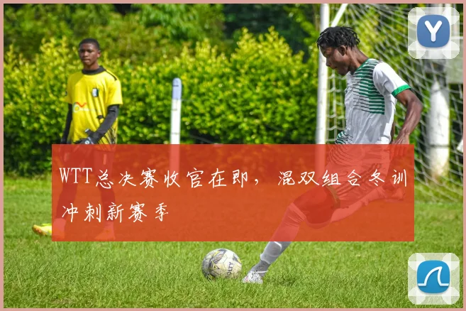 WTT总决赛收官在即，混双组合冬训冲刺新赛季