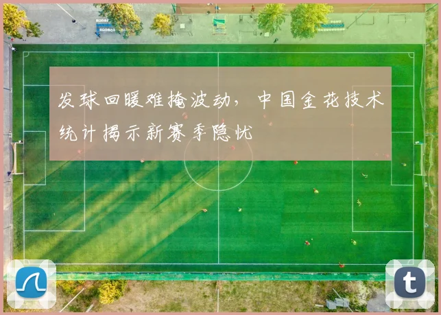 发球回暖难掩波动，中国金花技术统计揭示新赛季隐忧